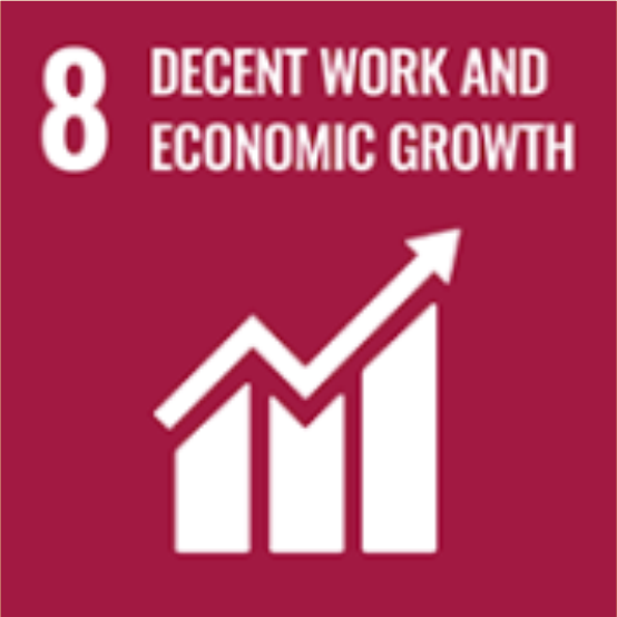 Decent Work and Economic Growth
